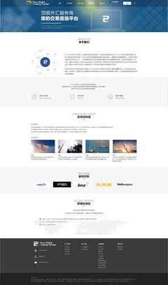 打造專業(yè)金融商務(wù)外匯平臺(tái)的“關(guān)于我們”網(wǎng)頁設(shè)計(jì)