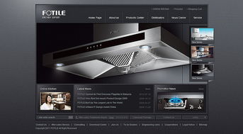 專業(yè)網(wǎng)站設(shè)計(jì)典范 凱娜設(shè)計(jì)官網(wǎng)與信息系統(tǒng)集成的優(yōu)秀實(shí)踐