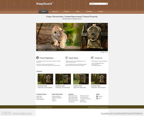 網站設計PSD素材全攻略 從專題解析到信息系統集成應用